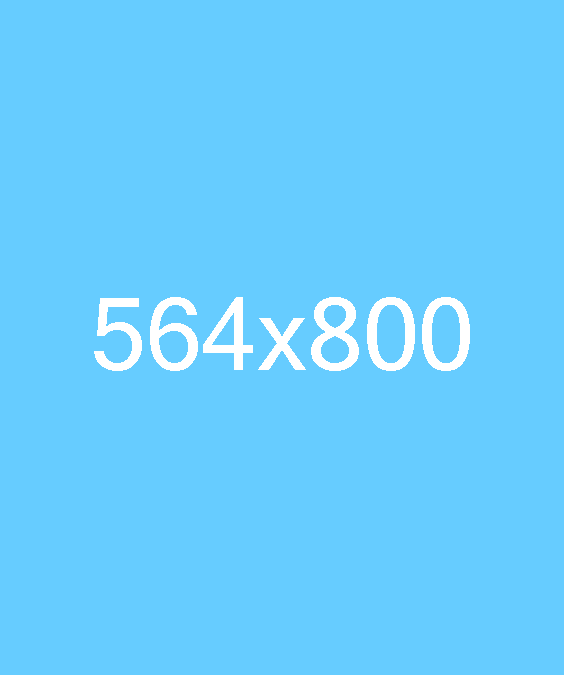 564×800